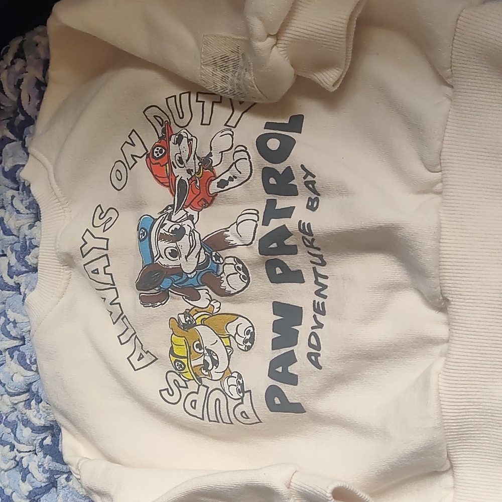 Zara 12-18 months sweater
